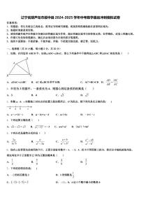 辽宁省葫芦岛市绥中县2024-2025学年中考数学最后冲刺模拟试卷含解析