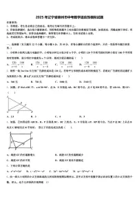 2025年辽宁省锦州市中考数学适应性模拟试题含解析