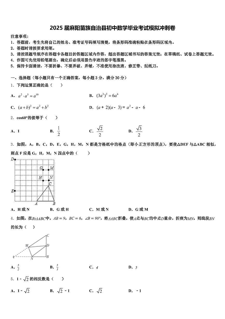 2025届麻阳苗族自治县初中数学毕业考试模拟冲刺卷含解析第1页
