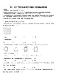 2024-2025学年广西壮族百色市乐业县十校联考最后数学试题含解析