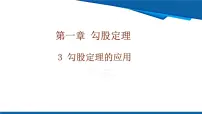 初中数学3 勾股定理的应用试讲课课件ppt