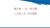 初中数学北师大版(2024)八年级上册(2024)第五章 二元一次方程组1 认识二元一次方程组精品ppt课件