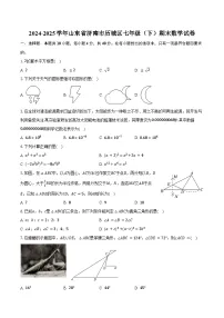 2024-2025学年山东省济南市历城区七年级(下)期末数学试卷(含答案)