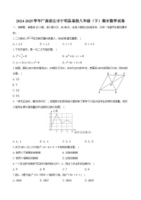 2024-2025学年广西崇左市宁明县某校八年级（下）期末数学试卷（含答案）