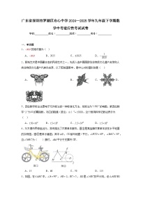 2025年广东省深圳市罗湖区布心中学九年级下学期数学中考适应性考试试卷（附答案解析）