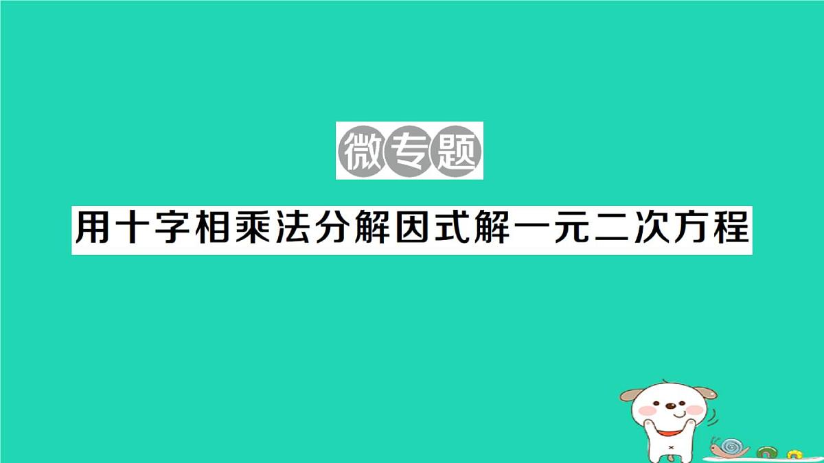 2025九年级数学上册第22章22.2 22.2.1微专题用十字相乘法分解因式解一元二次方程作业课件新版华东师大版第1页