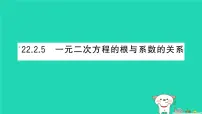 数学一元二次方程的根与系数的关系作业课件ppt