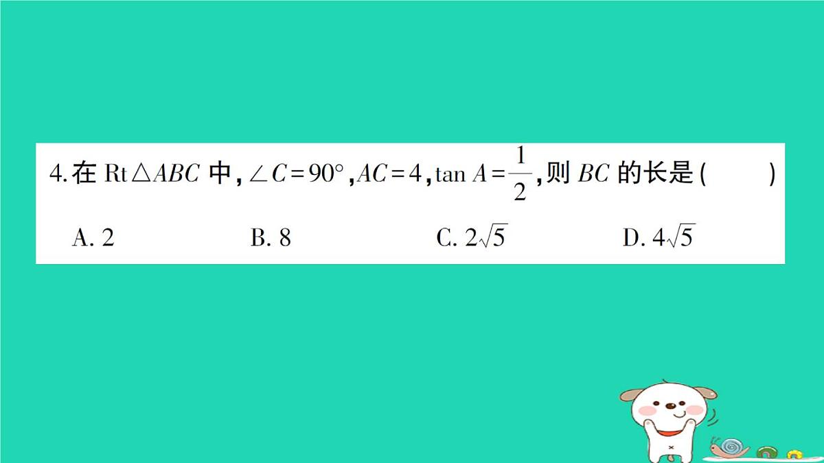 2025九年级数学上册第24章解直角三角形综合训练课件新版华东师大版第5页