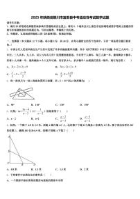 2025年陕西省铜川市宜君县中考适应性考试数学试题含解析