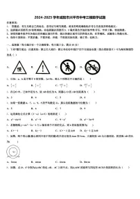 2024-2025学年咸阳市兴平市中考三模数学试题含解析