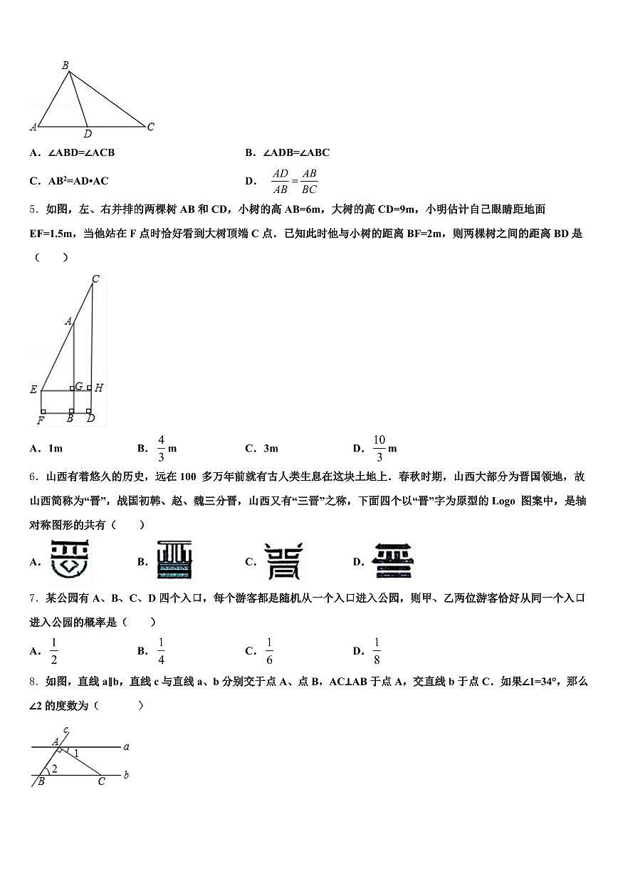 河南省平顶山市石龙区2024-2025学年中考数学最后冲刺模拟试卷含解析第2页