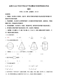 2025年四川省宜宾市中考数学真题（含解析）