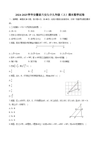 2024-2025学年安徽省六安九中九年级(上)期末数学试卷(含答案)
