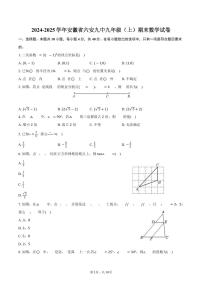 2024-2025学年安徽省六安九中九年级(上)期末数学试卷(含答案)