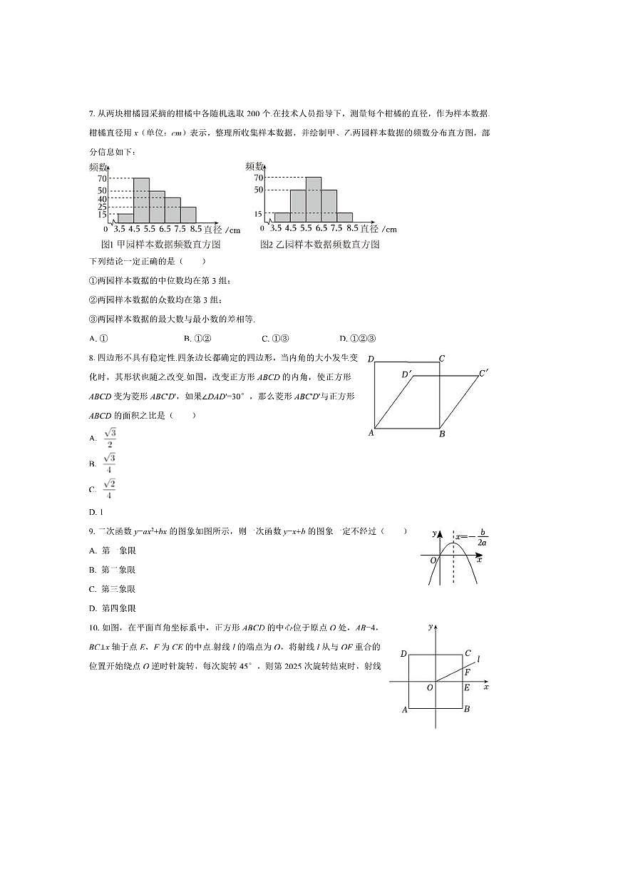 2025届河南省南阳市淅川县学校九年级下中考二模数学试卷(含答案)第2页