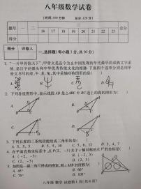 河南省洛阳市伊滨区、瀍河区2024-2025学年八年级上学期期中数学试题