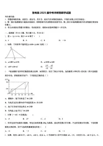 鲁甸县2025届中考冲刺卷数学试题含解析