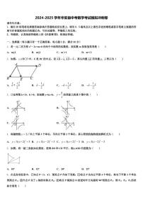 2024-2025学年华安县中考数学考试模拟冲刺卷含解析