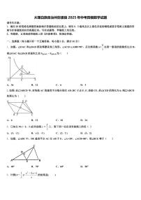 大理白族自治州弥渡县2025年中考四模数学试题含解析