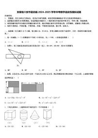 安徽省六安市霍邱县2024-2025学年中考数学适应性模拟试题含解析