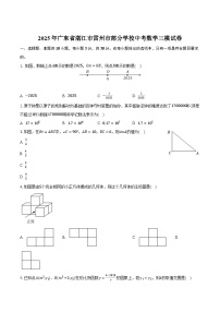 广东省湛江市雷州市部分学校2025届九年级下学期中考三模数学试卷(含解析)