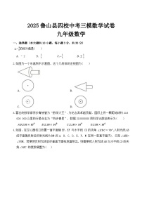 河南省平顶山市鲁山县四校联考2025届九年级下学期中考三模数学试卷(含解析)