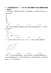 数学北师大版（2024）3 勾股定理的应用一课一练