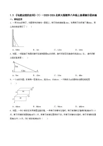 数学北师大版（2024）3 勾股定理的应用一课一练