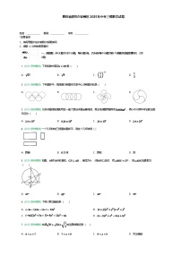 四川省绵阳市安州区2025年中考三模数学试题（含答案解析）