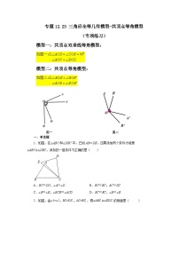 【25年秋季】新人教版八年级数学上册专项讲练专题12.23 三角形全等几何模型-共顶点等角模型（名师详细解析）
