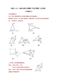 【25年秋季】新人教版八年级数学上册专项讲练专题12.25 三角形全等几何模型-手拉手模型（巩固篇）（名师详细解析）