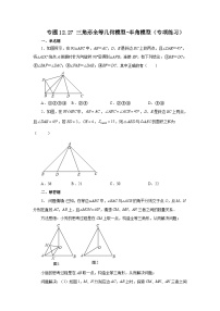 【25年秋季】新人教版八年级数学上册专项讲练专题12.27 三角形全等几何模型-半角模型（名师详细解析）