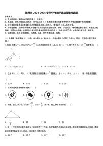 偃师市2024-2025学年中考数学适应性模拟试题含解析