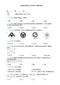 广东省湛江市雷州市三校2025年九年级下中考二模数学试题（含答案解析）