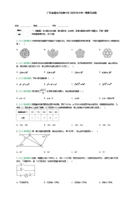 广东省清远市连州中学2025年九年级下中考一模数学试题（含答案解析）