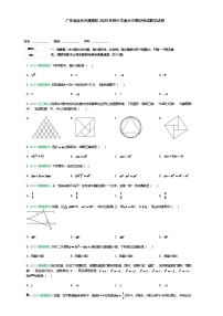 广东省汕头市潮南区2025年九年级下初中学业水平模拟考试数学试卷（含答案解析）