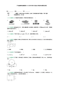 广东省惠州市惠城区第一次2025年九年级下初中学业水平模拟考试数学试题（含答案解析）