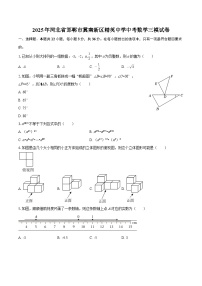 2025年河北省邯郸市冀南新区精英中学中考数学三模试卷(含答案)