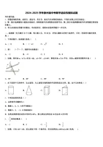 2024-2025学年象州县中考数学适应性模拟试题含解析