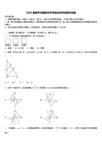 2025届南平市建瓯市中考适应性考试数学试题含解析