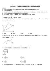 2024-2025学年南京市栖霞区中考数学对点突破模拟试卷含解析