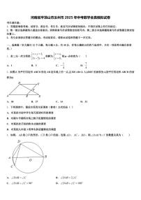 河南省平顶山市汝州市2025年中考数学全真模拟试卷含解析