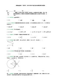 湖南省娄底市“思齐杯”2025年九年级下初中毕业学业考试模拟数学试题卷（含答案解析）