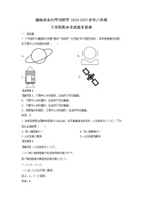 湖南省永州市祁阳市2024-2025学年八年级下学期期末考试 数学试题（解析版）