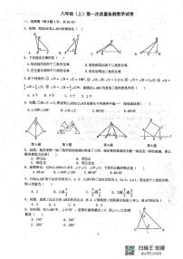 河南省漯河市实验中学2024-2025学年八年级上学期第一次月考数学试卷