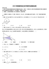 2025年景德镇市昌江区中考数学全真模拟试卷含解析
