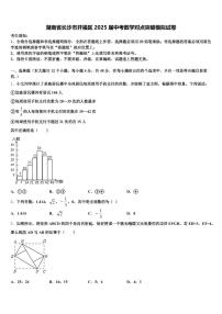 湖南省长沙市开福区2025届中考数学对点突破模拟试卷含解析