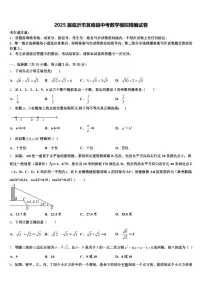 2025届临沂市莒南县中考数学模拟精编试卷含解析