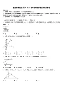 襄阳市襄城区2024-2025学年中考数学考试模拟冲刺卷含解析