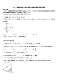 2025届陕西省延安市洛川县中考适应性考试数学试题含解析